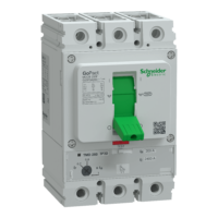 GOMCCB 250F 3P3D 200A ADJ G25F3A200