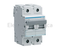 125A 2P 10KA C-CURVE MCB