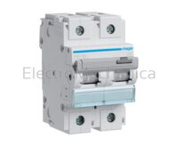 100A 2P 15KA C-CURVE MCB