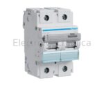 80A 2P 15KA D-CURVE MCB