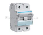 100A 2P 15KA D-CURVE MCB