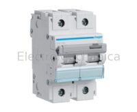 100A 2P 15KA D-CURVE MCB