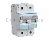 125A 2P 15KA D-CURVE MCB