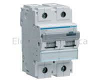 100A 2P 30KA C-CURVE MCB