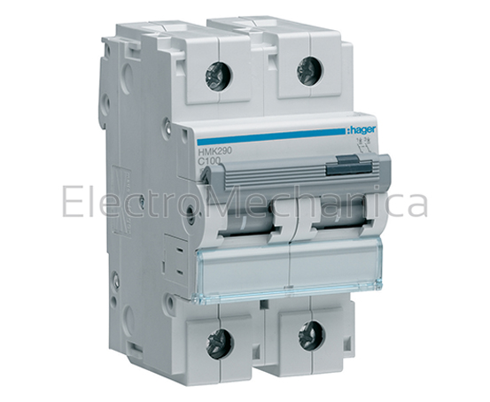 100A 2P 30KA C-CURVE MCB
