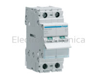 63A 2P MAIN ISOLATOR SWITCH