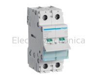 100A 2P MAIN ISOLATOR SWITCH
