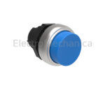EXT. BLU ALTERNATE P/BUTTON ACT.