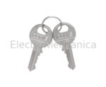 SPARE - STANDARD KEY